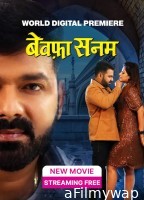 Bewafa Sanam (2023) Bhojpuri Movies