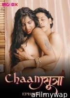 Chaamsutra (2024) S01 E02 Moodx Hindi Web Series