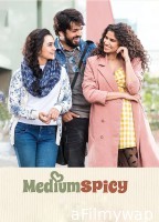 Medium Spicy (2022) Marathi Full Movies