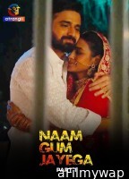 Naam Gum Jayega (2024) Part 1 Atrangii Hindi Hot Web Series