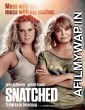 Snatched (2017) Dual Audio Movie